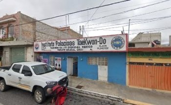 Instituto Palacios Tae Kwon Do A.c.
