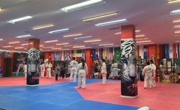 TIGRES BLANCOS CENTRAL CUERNAVACA