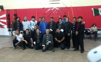 Kung Fu 7 Animales Grupo Másters