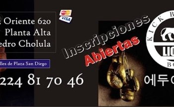 LIONS ARTES MARCIALES