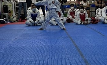KHAM TKD Tigres Blancos