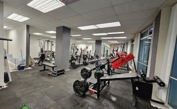 Insane Gym Oaxaca