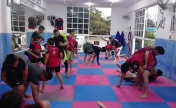 Asociación de Artes Marciales