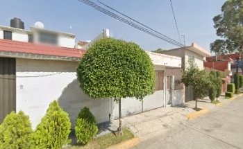 Sadoc sierra studio dojo pirules