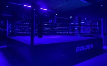 KO Golden Box Training