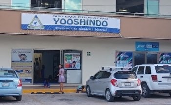 Sistema Educativo Yooshindo PDC
