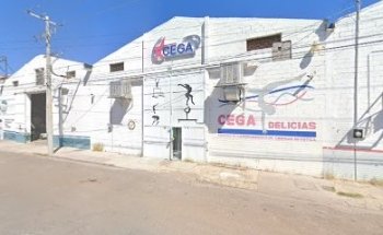 Cega