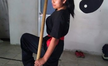 Asociación Chino Mexicana De Wu-shu Y Chi-kung