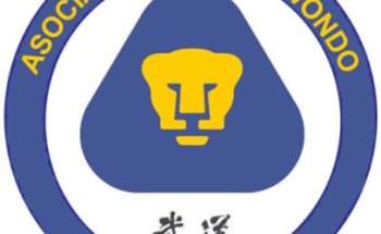 Tae Kwon Do Pumas Playa del Carmen