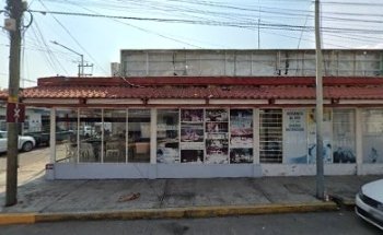 Taekwondo Panamericano Hermanos López En Casa