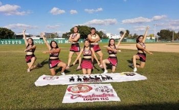 Cheerleaders LobosTec
