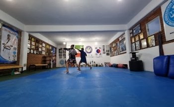 Sastré Pro Team Martial Arts