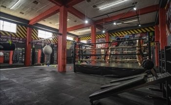 Boxing Beast Factory