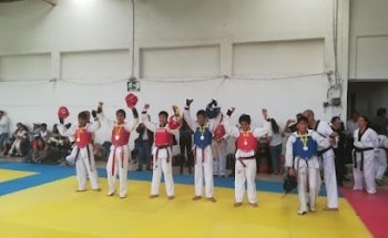 TAE KWON DO HWA SOO DO ROJO GOMEZ