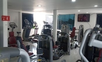 Fox Gym Pachuca
