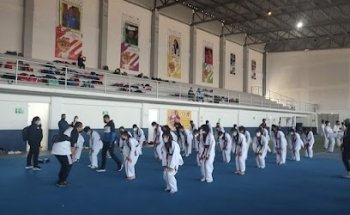 ACADEMIA DE ARTES MARCIALES NEVER BACK DOWN