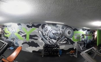 SKYGYM FITNESS & DANCE