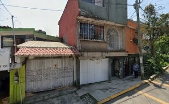 Brasilian fighting Linces