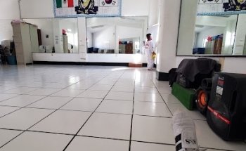 TAEKWONDO MOODOHE AHUEHUETITLA