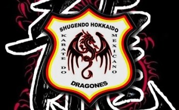 Dragones Karate Shotokan San Pablo