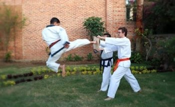 Escuela de Tae Kwon do / Soo Bahk Do
