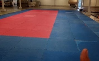 TAEKWONDO FES ZARAGOZA