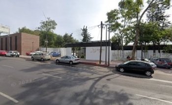 Artes Marciales Tigre-Dragon G3