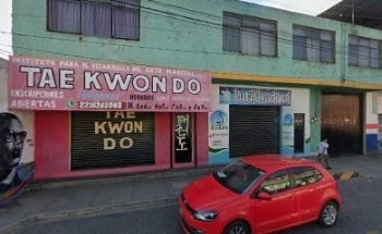 Instituto Para El Desarrollo Del Arte Marcial Taekwondo