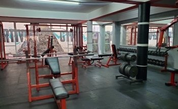 Domo Gym