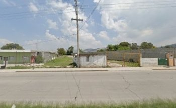 Academia Felinos de Jimmy Martínez