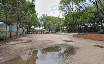 kung fu El Puño De Los 5 Animales