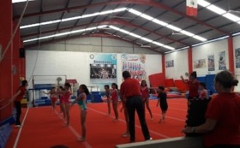 Escuela de Gimnasia Olímpica Iragym