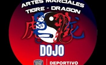 Artes Marciales Tigre Dragon Deportivo Morelos DOJO
