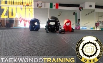 Instituto Tae Kwon Do Olimpico de México