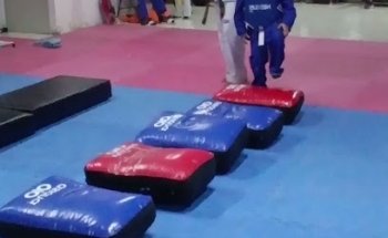Taekwondo Jidokwan Alamedas