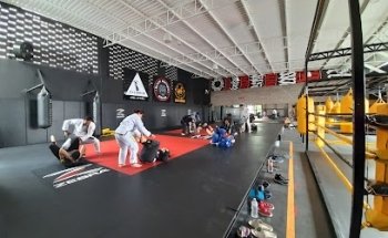 Black Panther MMA & Jiu-Jitsu