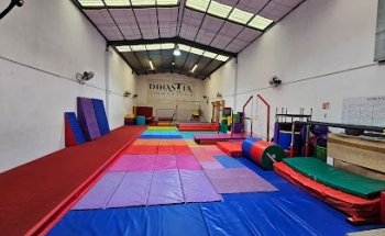 Dinastía Gimnástica