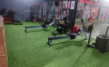 Beast Box Cross Fit