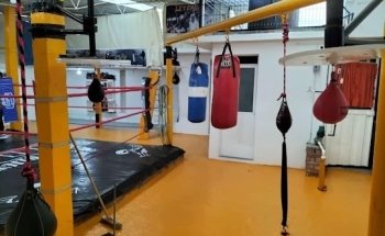 Club De Box Estopier