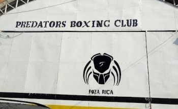 Predators Boxing Club