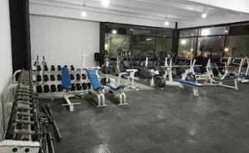 Maximus Gym