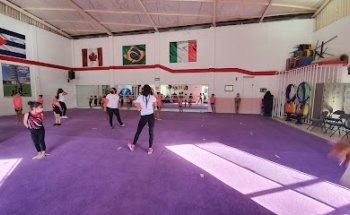 ACADEMIA DEPORTIVA EXCEL