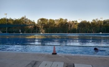 Alberca Olimpica Pública