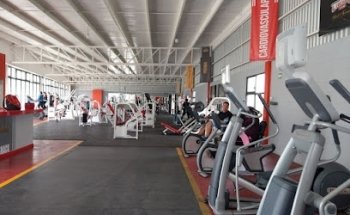Lion's Gym