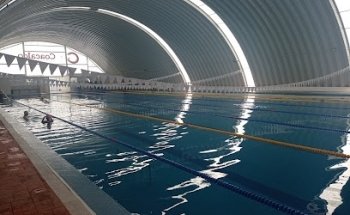 Alberca Olimpica Deportivo Villa De Las Flores
