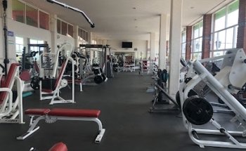 GYM MANIA