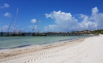 Dolphin Discovery Swimming Pool