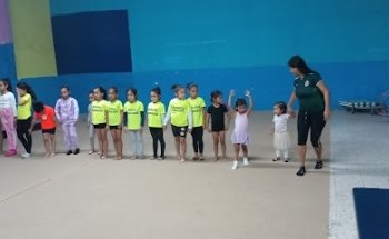 Escuela de gimnasia 