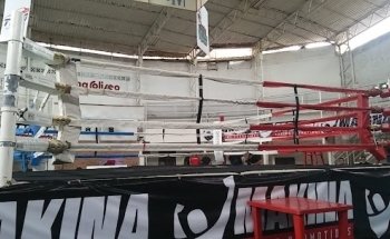 ARENA DEL DEMONIO BLANCO