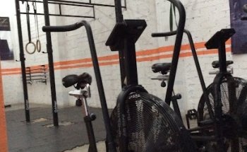 Elite Fitness Minotauro